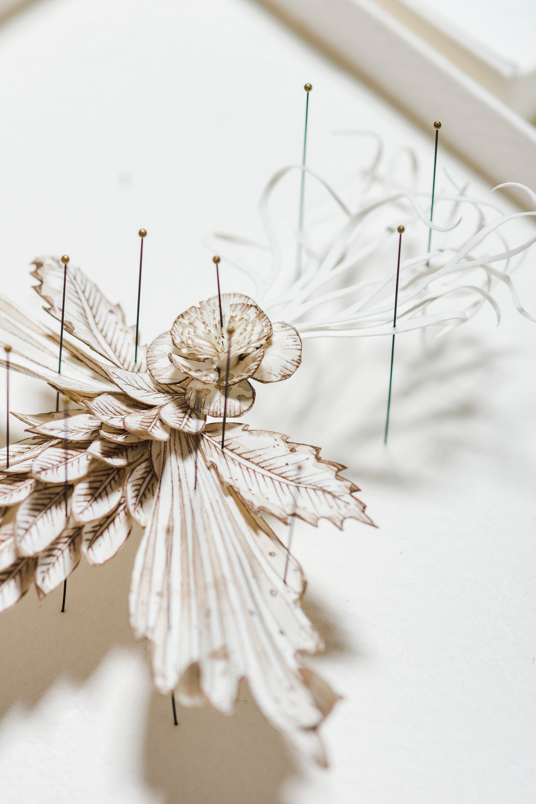 Colleen Southwell focuses on the fine detail