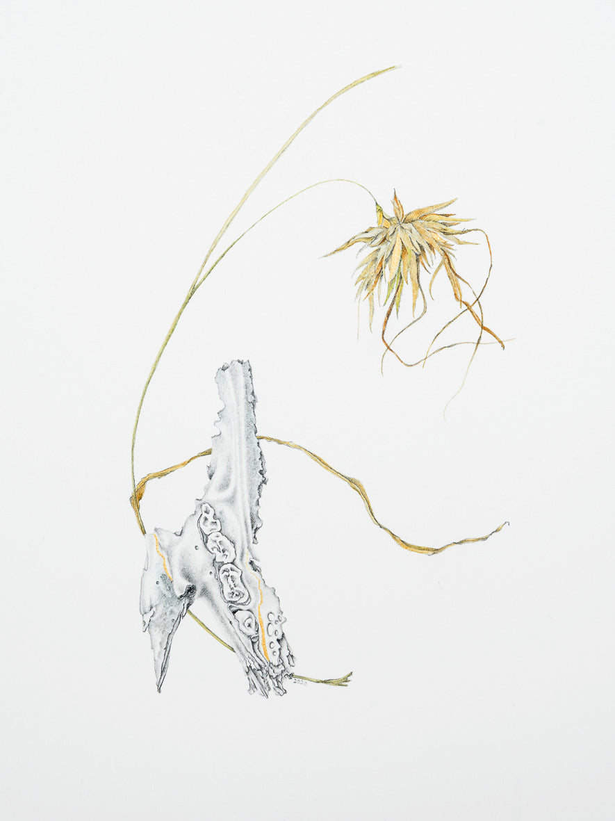 Painting demonstration with Sharon Field 18/19 July