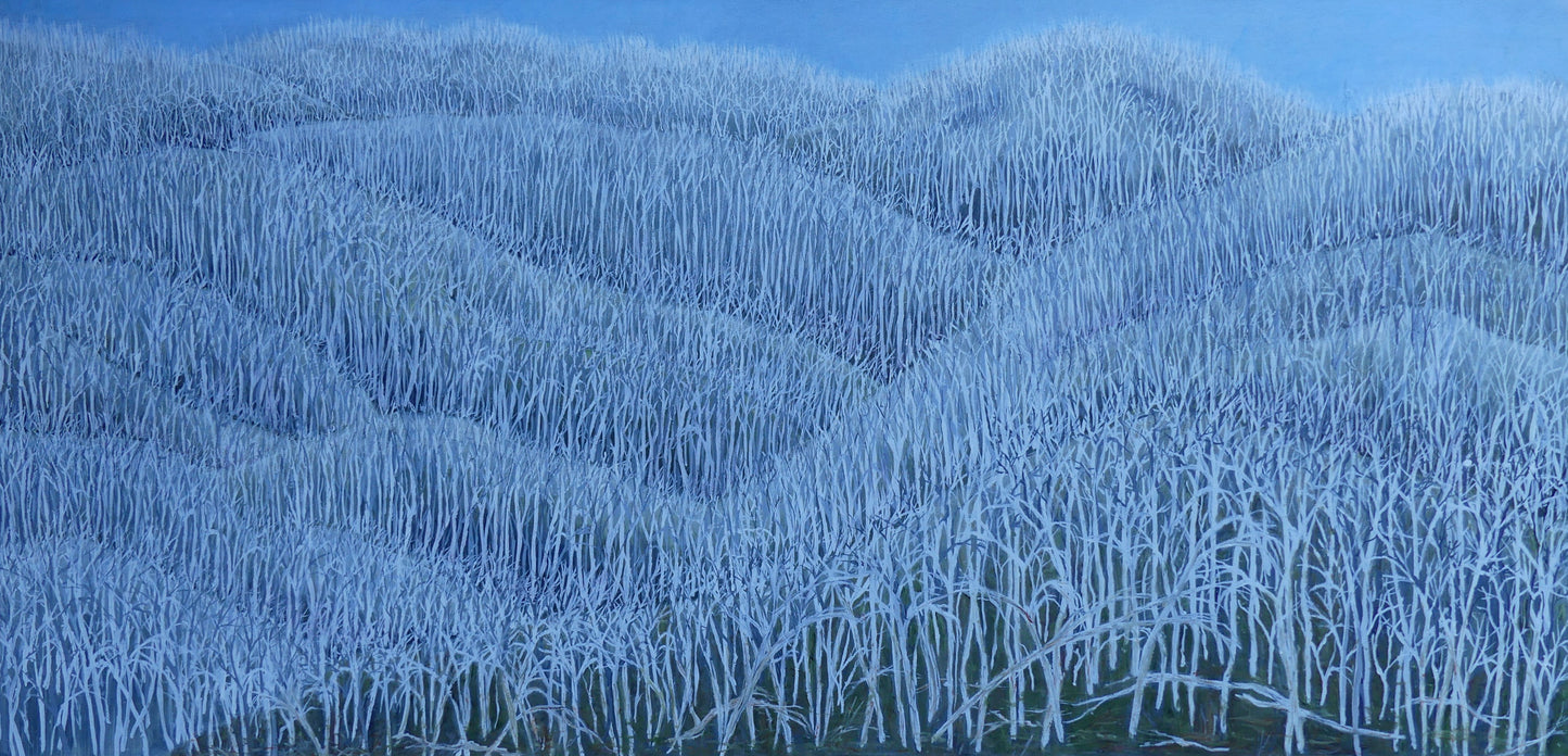 Untitled #5 | Shunyam Smith