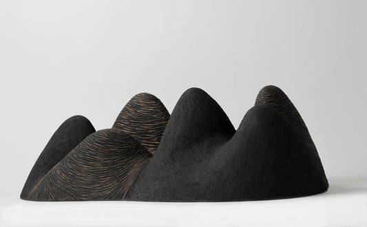 Shadow Fall 10 | Robyn Campbell