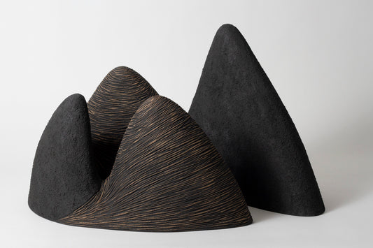 Shadow Fall 12 | Robyn Campbell