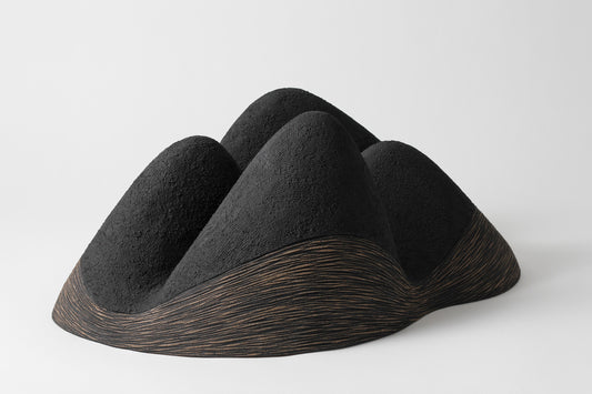 Shadow Fall 14 | Robyn Campbell
