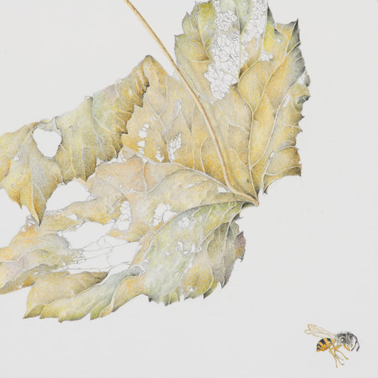 Charms peeled from the wood’s ancient hide 2 | 2025