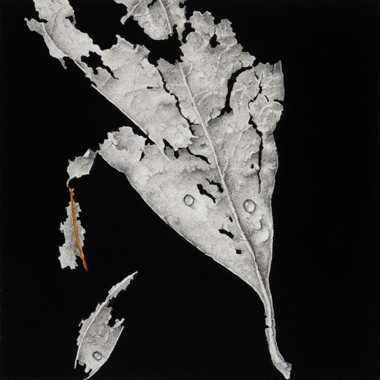 Crumbling ghosts of seasons past 2 | 2025