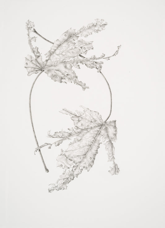 Dew...like round and orient pearls | 2022