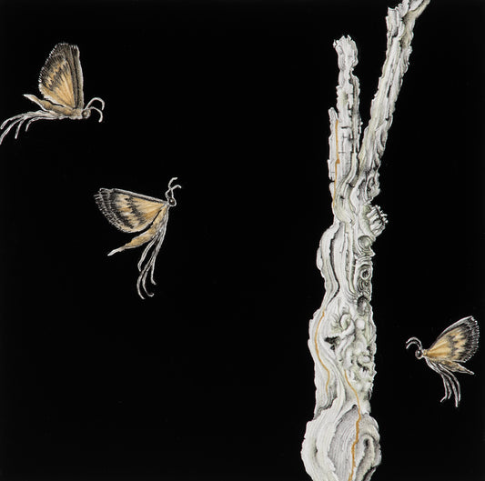 Enchanted spirals from a whispering tree 2 | 2025