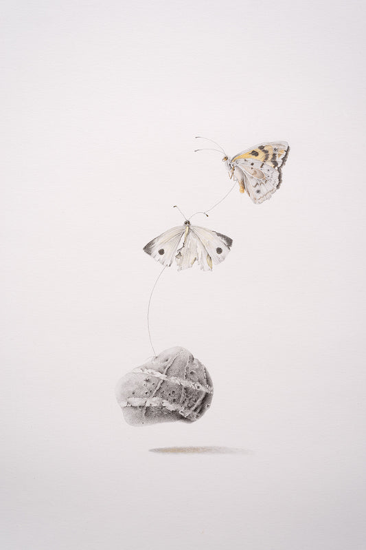 My thoughts...they floated light as moths | 2023