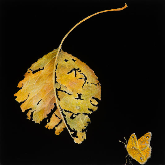 Rustling whispers suspended by wind and sun 1 | 2025