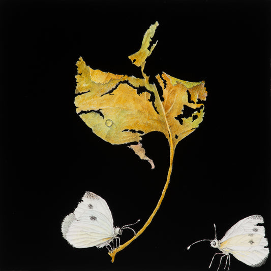 Rustling whispers suspended by wind and sun 2 | 2025
