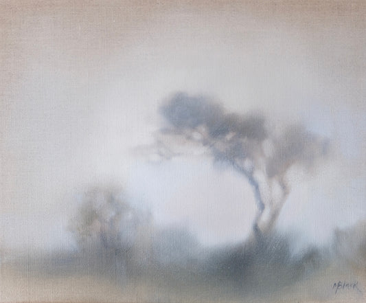 Simplified in Fog | 2025