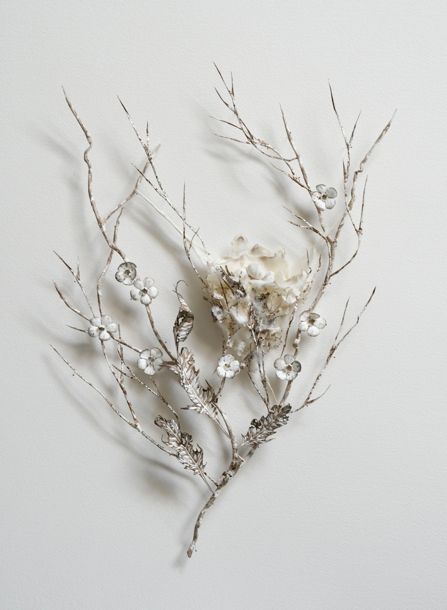 Branch Dwellers #3 | 2022