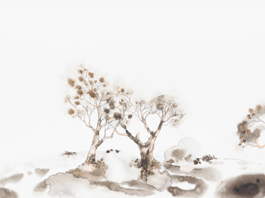 Calligraphy of the Land II | 2019