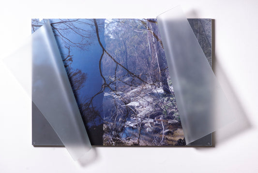 Understory II, 2020