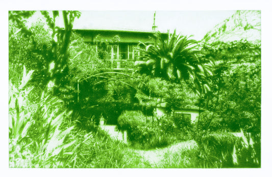 Through Matisse's garden (Vence), 2020