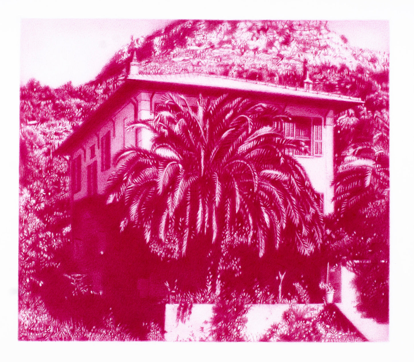 Matisse's home revealed, 2020