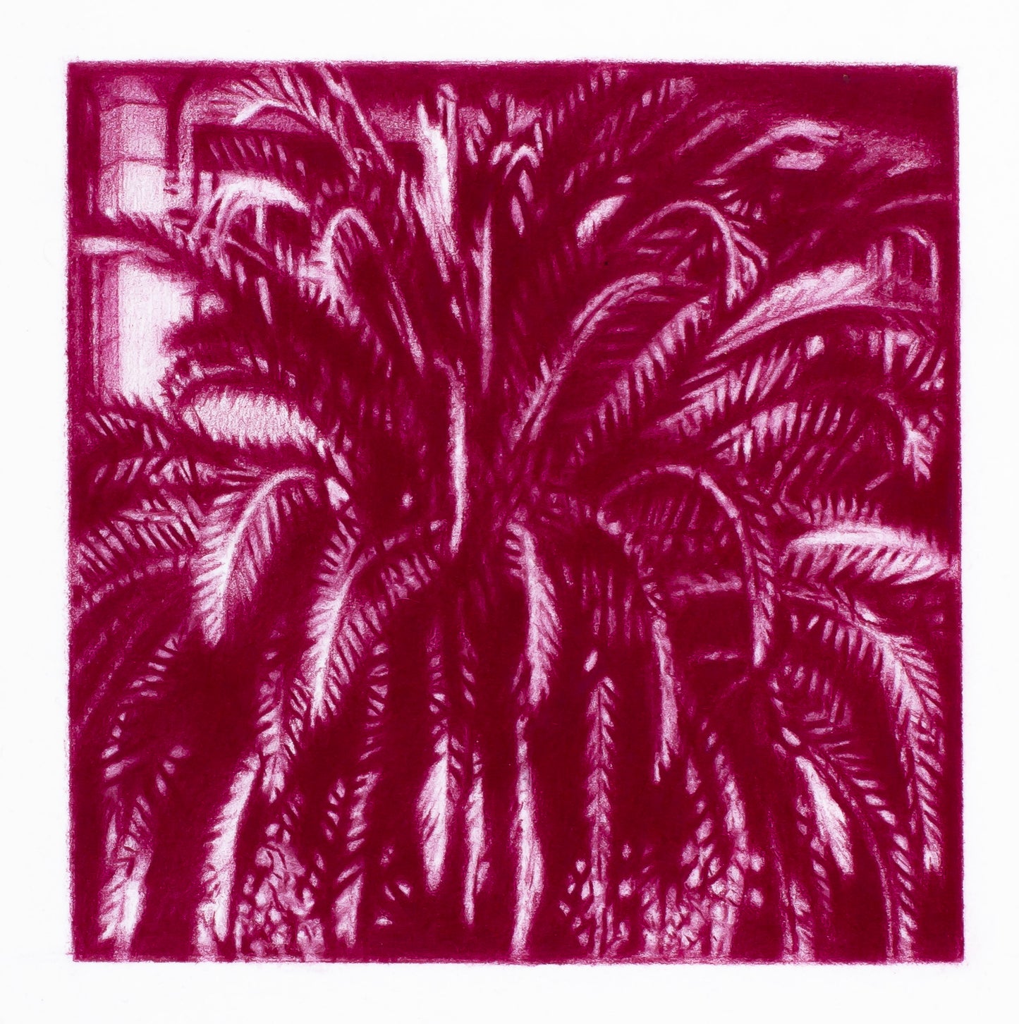 Palm at Matisse's home (Vence), 2020