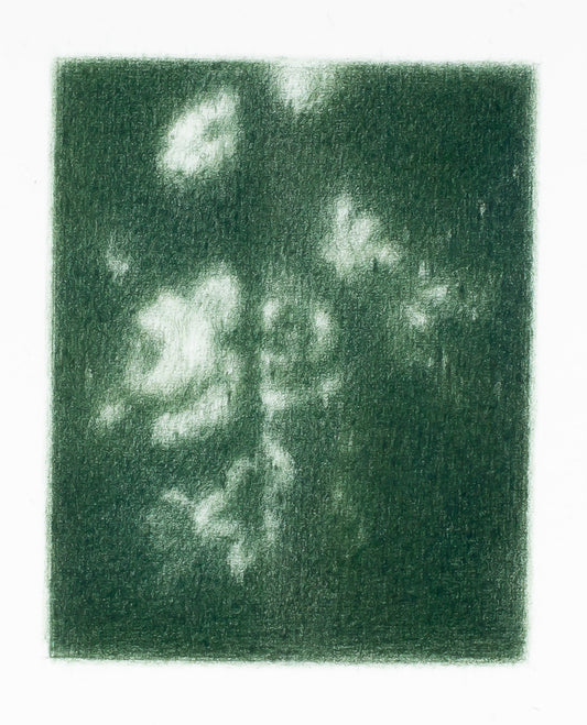 Drape detail in Matisse's studio (Nice), 2020