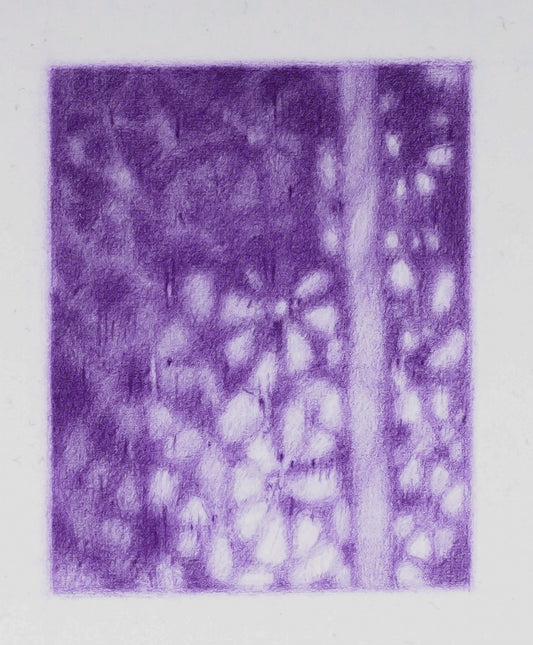 Curtain detail in Matisse's studio (Nice), 2020