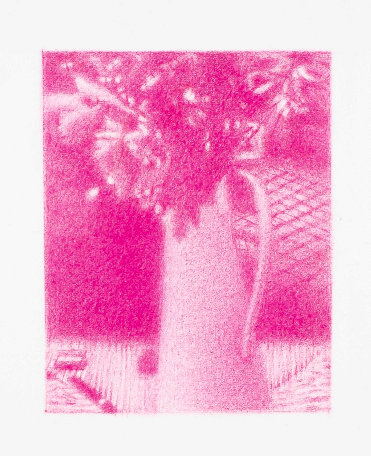Flowers in Matisse's studio (Paris), 2020