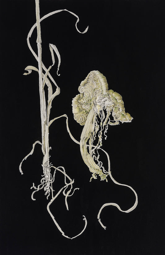Hanging by a Thread I | 2020