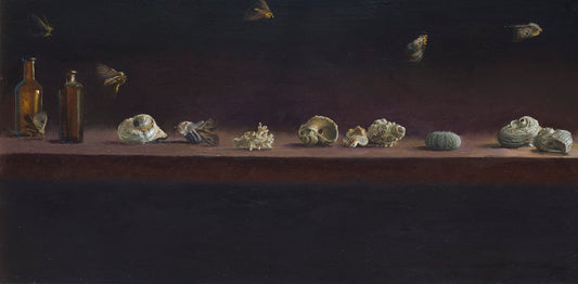 Shells, 2018